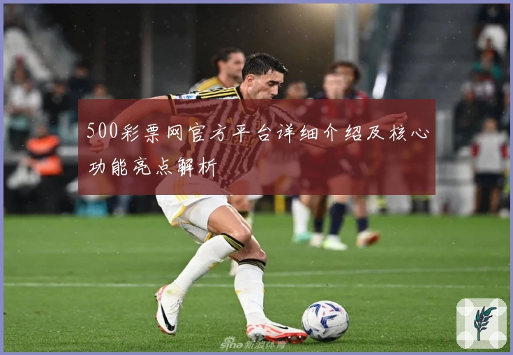 500彩票网官方平台详细介绍及核心功能亮点解析
